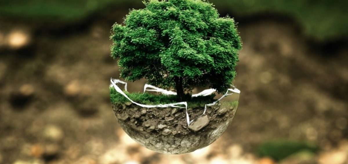occ-marca-eco-friendly-empresa-sostenible